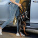 Arnés para perro de elevación de perro, cinta mágica para perros grandes - Quierox - Tienda Online