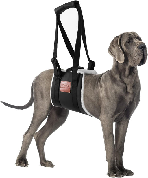Arnés para perro de elevación de perro, cinta mágica para perros grandes - Quierox - Tienda Online