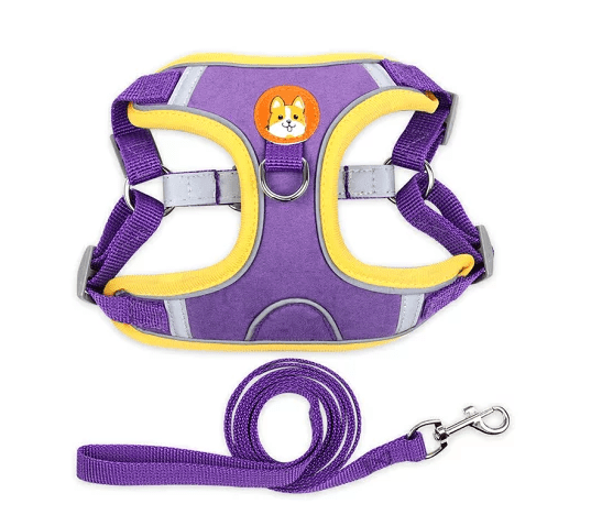 Arnés para perros estilo chaleco - Quierox - Tienda Online