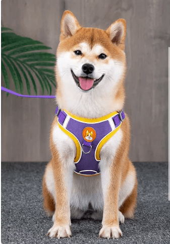 Arnés para perros estilo chaleco - Quierox - Tienda Online