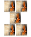 Astonvilla - cuerdas profesionales para violín, viola y violonchelo (E - A - D - G), varios colores - Quierox - Tienda Online