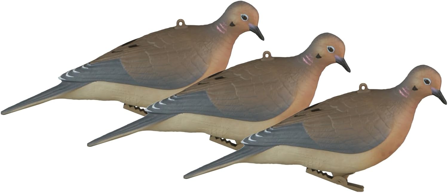 Avery GHG Paquete de 6 Señuelos para tórtolas, 3 aves en reposo y 3 posadas - Quierox - Tienda Online