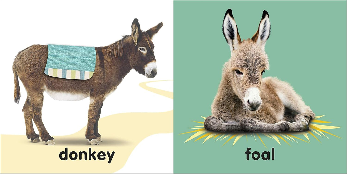 Baby Touch and Feel: Bible Animals - Quierox - Tienda Online