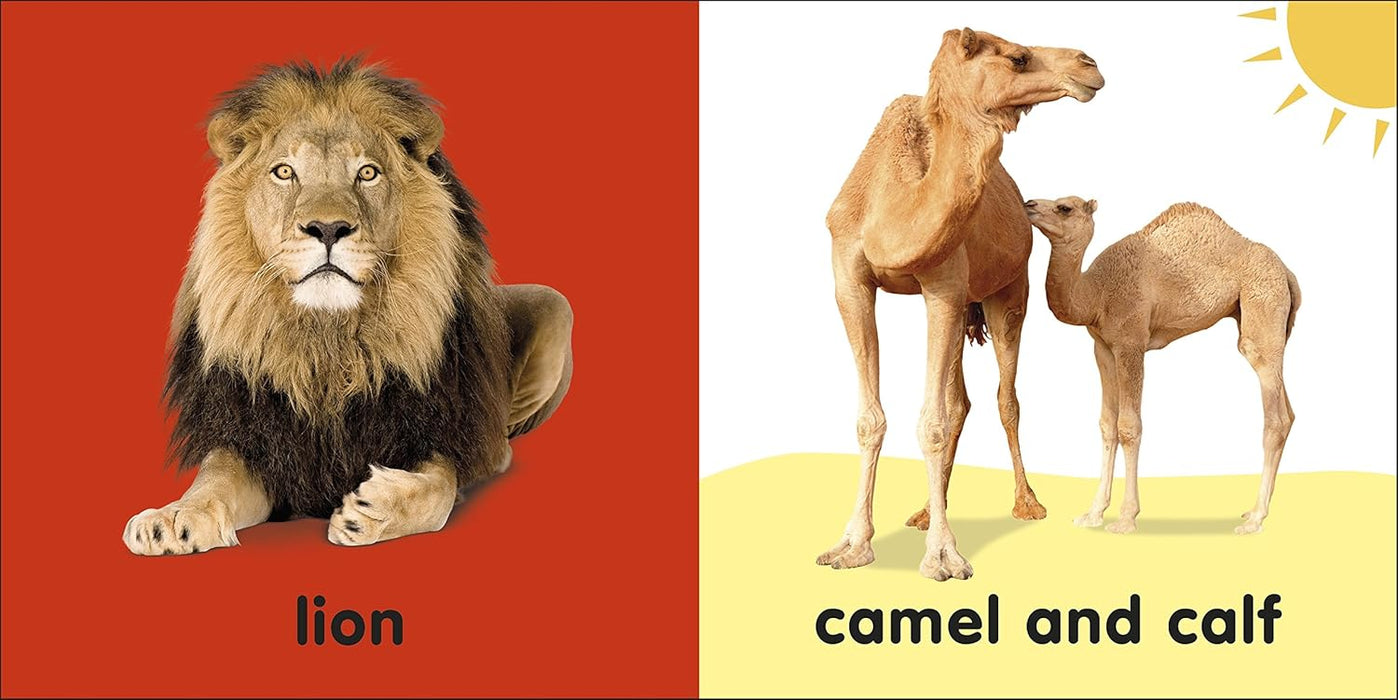 Baby Touch and Feel: Bible Animals - Quierox - Tienda Online