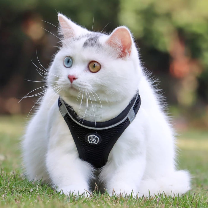 Balabuki Chaleco arnés para perros y gatos pequeños y medianos - Quierox - Tienda Online