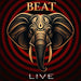 BEAT - Live (edición limitada de lujo de 3 CD y libro de arte en Blu - ray) - Quierox - Tienda Online