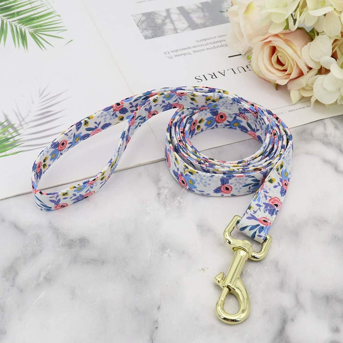 Beirui AliceBlue - Correa para perros pequeños y medianos - Quierox - Tienda Online