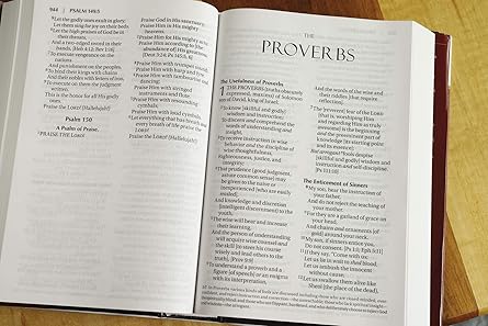 Biblia Santa Amplificada, letra grande, tapa dura : ‎ English - Quierox - Tienda Online