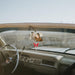 Bling Butterfly Diamond Accesorios para espejo retrovisor de coche para mujeres - Quierox - Tienda Online