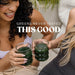 Bloom Nutrition Superfood Greens en polvo, enzimas digestivas con probióticos y prebióticos, 25 servings - Quierox - Tienda Online