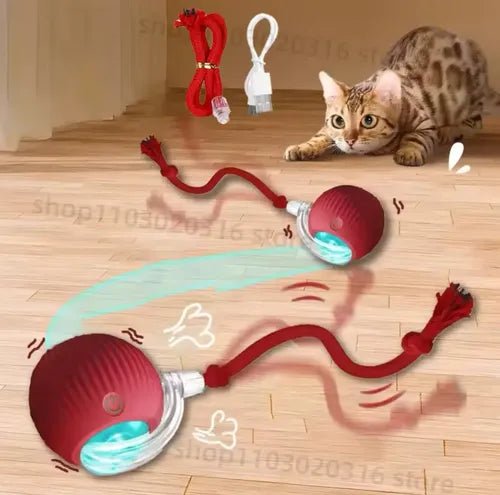 Bola De Juguete Inteligente Para Gato Catball P02 - Quierox - Tienda Online