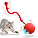 Bola De Juguete Inteligente Para Gato Catball P02 - Quierox - Tienda Online