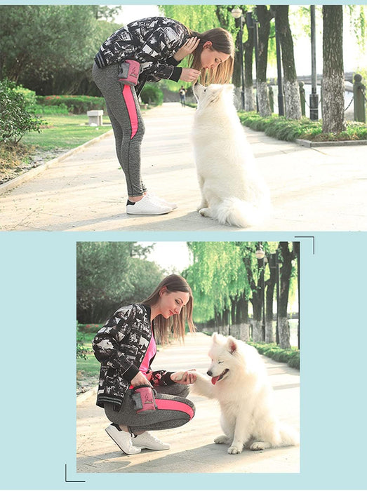 Bolsas de entrenamiento para perros, bolsa de aperitivos para mascotas - Quierox - Tienda Online