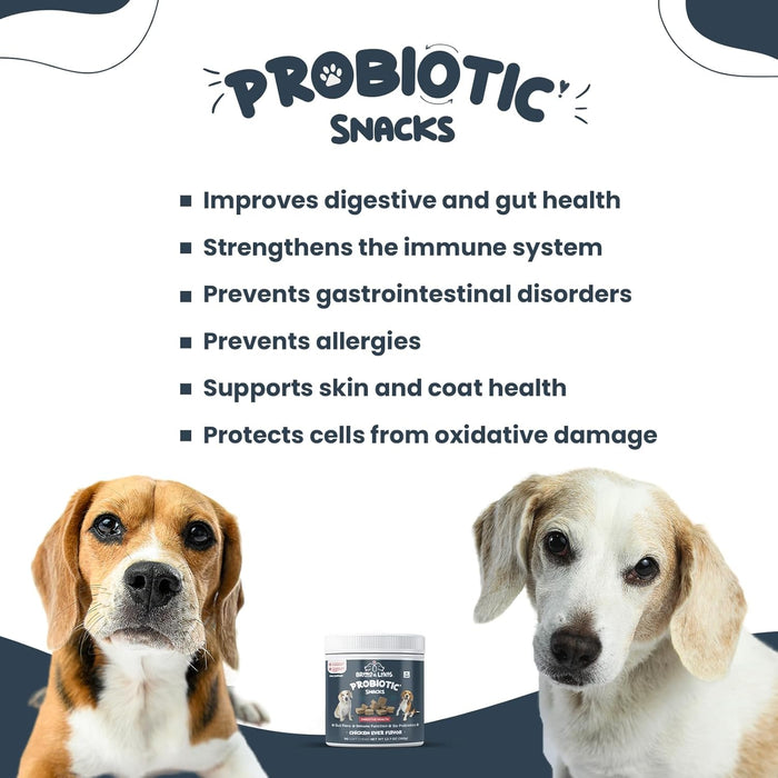 Bruno & Lukas Golosinas de probióticos para perros que apoyan la salud de la flora intestinal - Quierox - Tienda Online