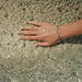 CADENA Pulsera Bella en plata - Quierox - Tienda Online