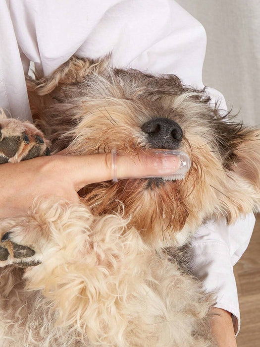 Cepillo de dientes de dedo para perros y gatos pequeños, limpiador dental transparente - Quierox - Tienda Online