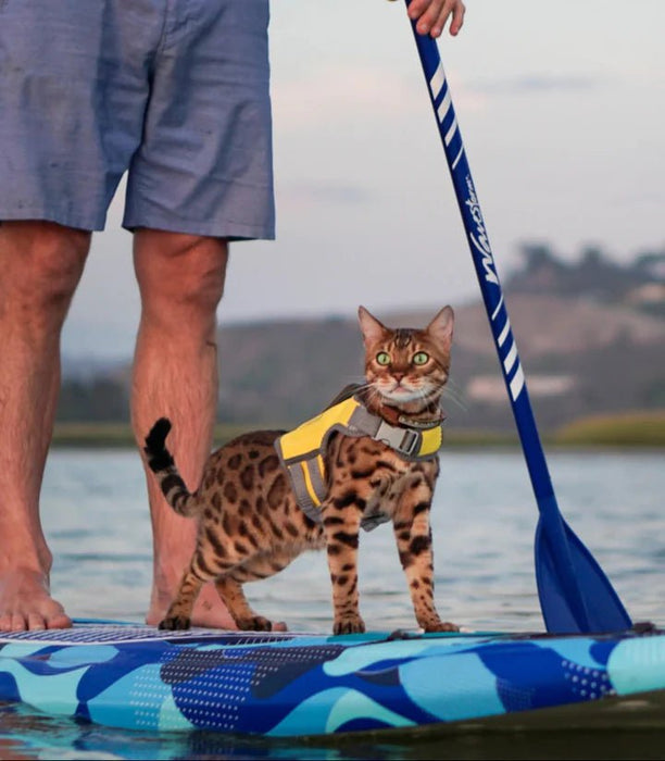 Chalecos salvavidas SurferCat - Quierox - Tienda Online