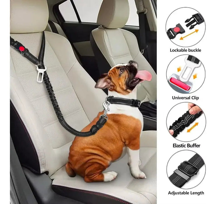 Cinturones Ajustables 2 En 1 Para Mascotas En El Auto - Quierox - Tienda Online
