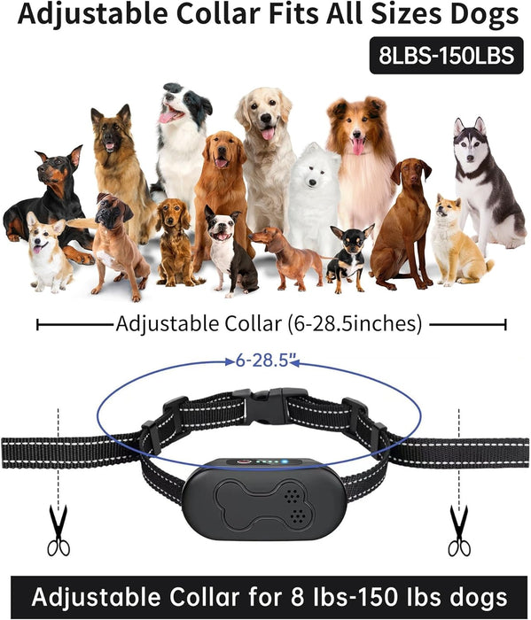 Collar de choque para perros con control remoto - Quierox - Tienda Online