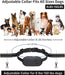 Collar de choque para perros con control remoto - Quierox - Tienda Online