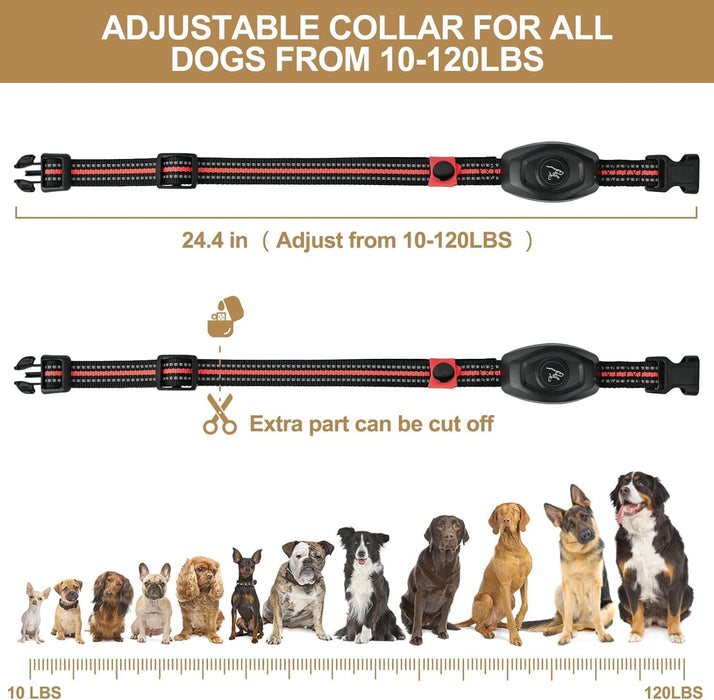 Collar de entrenamiento para perros, collar antiladridos recargable 2 en 1 con control remoto - Quierox - Tienda Online
