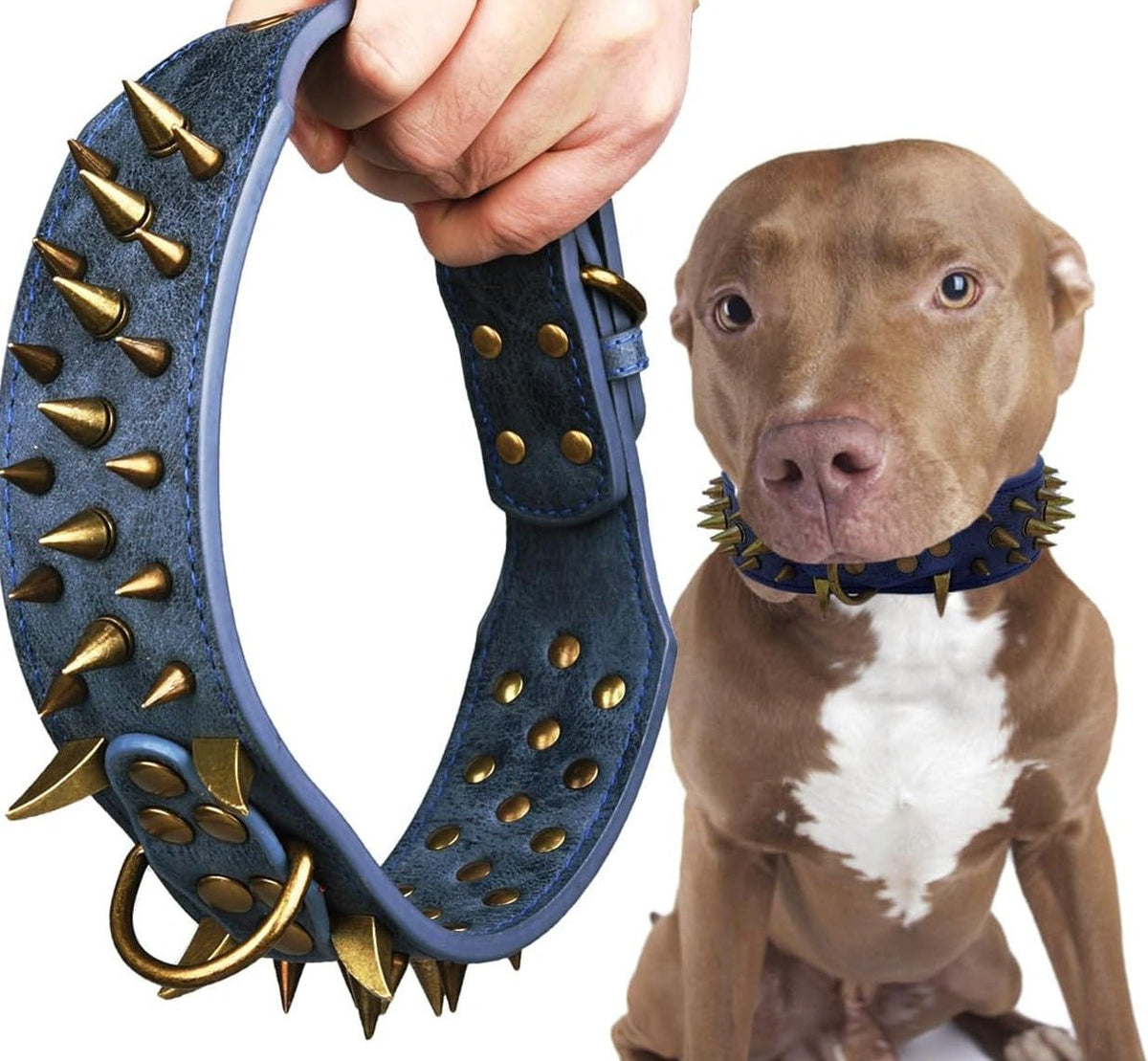 Afiche retro de manía de perro: vector de stock (libre de regalías)  2264380243 | Shutterstock, image size:1200x1109