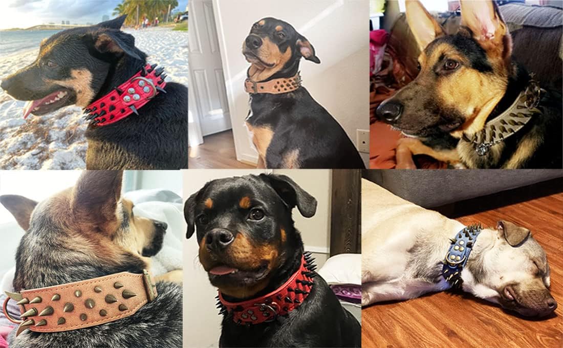 Collar de perro con tachuelas con púas grandes y afiladas / Small - Quierox - Tienda Online