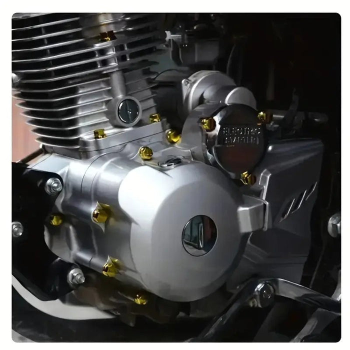 Conjunto De 30 Piezas De Alta Calidad De Tapas De Tornillo - Quierox - Tienda Online