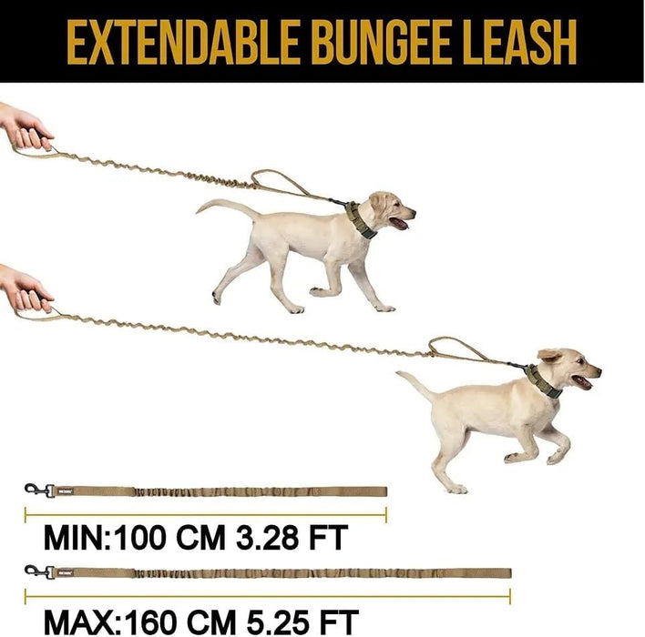 Correas de entrenamiento para perros, color negro - Quierox - Tienda Online