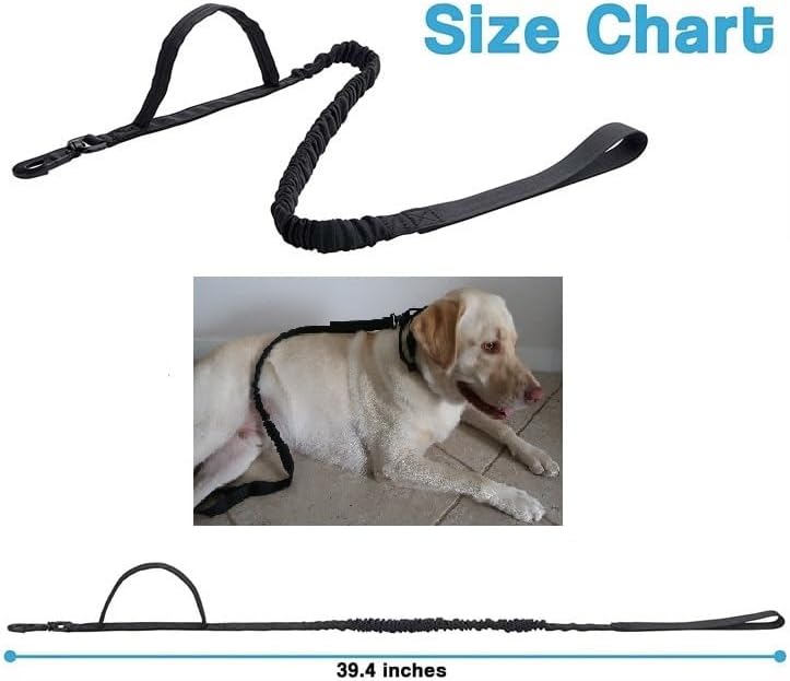 Correas de entrenamiento para perros, color negro - Quierox - Tienda Online
