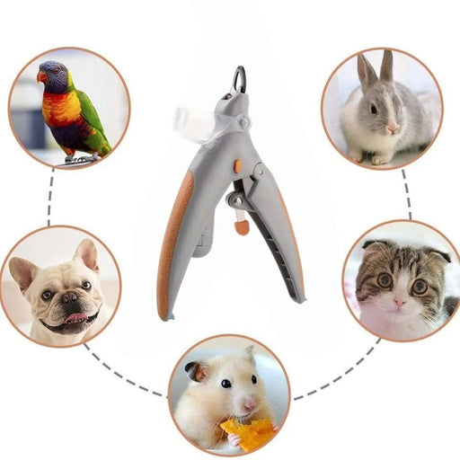 Cortauñas para perros y gatos con luz LED, accesorios para pulir y limpiar. - Quierox - Tienda Online