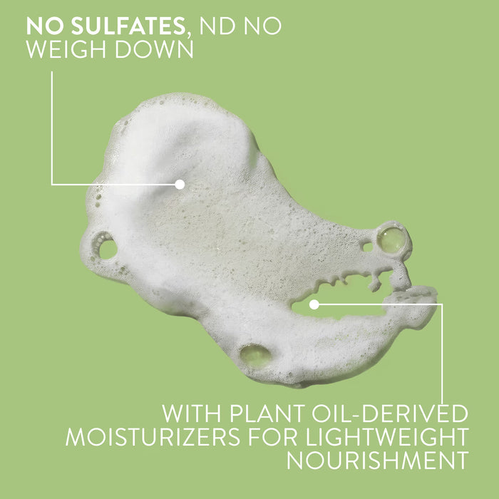 Native Champú voluminizador de pepino y menta, sin sulfatos ni siliconas, 473 ml (16.5 fl oz)
