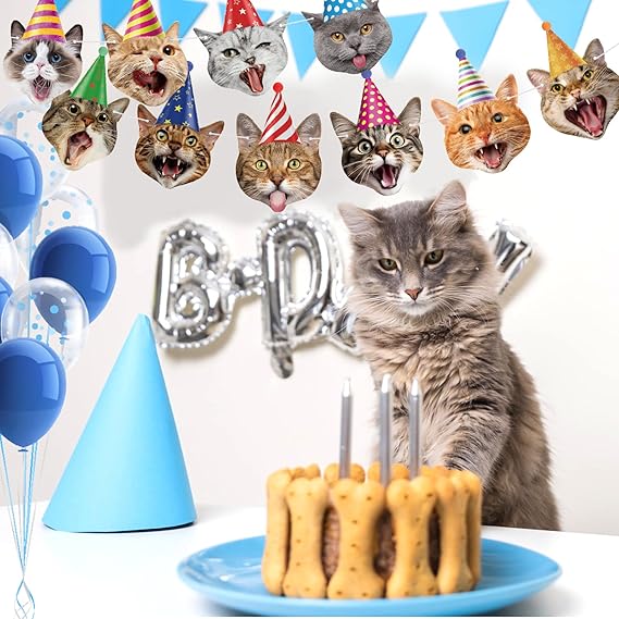 Decoraciones de fiesta de cumpleaños con tema de cara de gato - Quierox - Tienda Online
