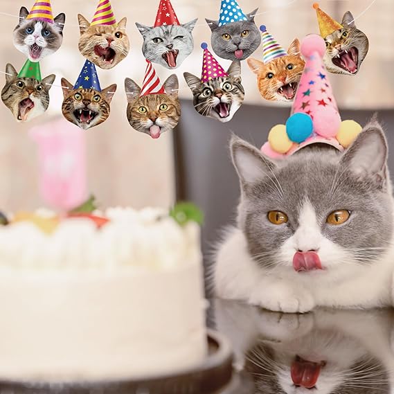 Decoraciones de fiesta de cumpleaños con tema de cara de gato - Quierox - Tienda Online