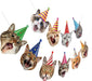 Decoraciones de fiesta de cumpleaños con tema de cara de gato - Quierox - Tienda Online