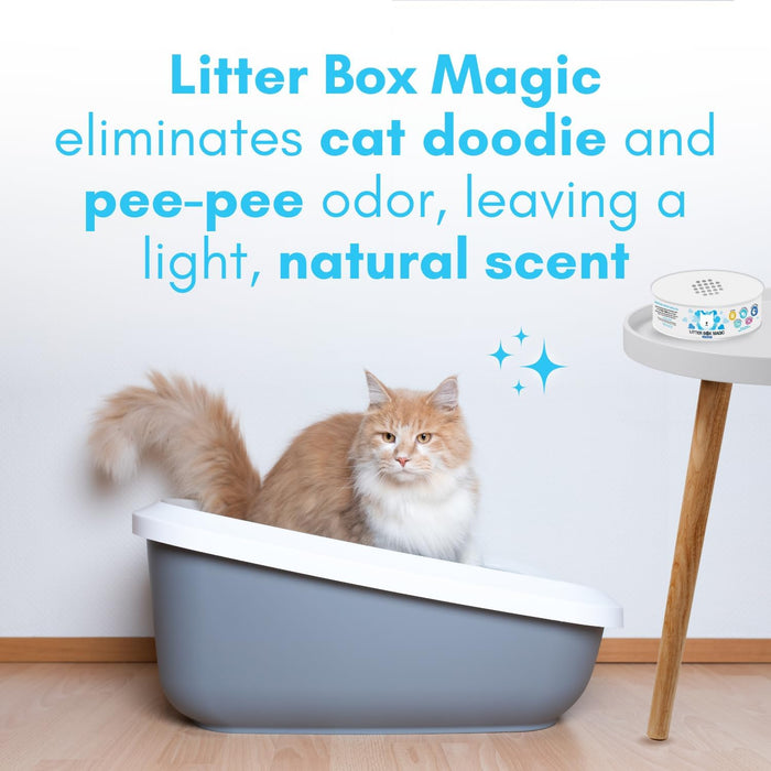 Desodorizante para arena para gatos Litter Box Magic (fragancia fresca, 473 ml, paquete de 2) - Quierox - Tienda Online