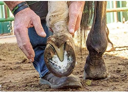 Disco de recorte de pezuñas para caballos cabras, herramienta de reparación profesional - Quierox - Tienda Online