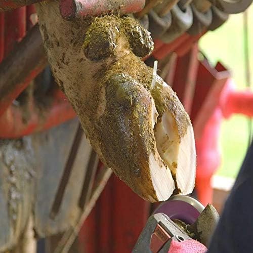 Disco de recorte de pezuñas para caballos cabras, herramienta de reparación profesional - Quierox - Tienda Online