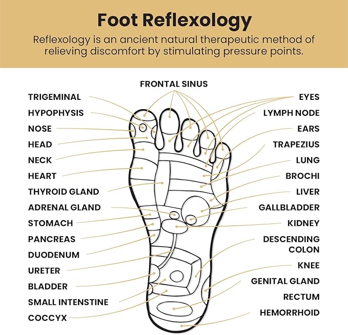 EcoPro Masajeador de pies de madera natural de terapia de reflexología - Quierox - Tienda Online