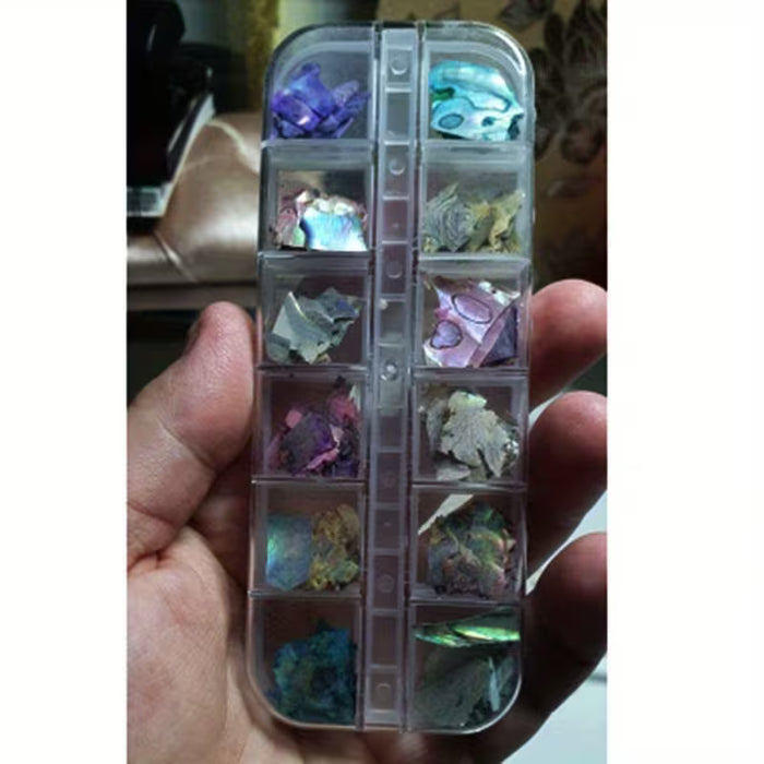 Láminas irregulares 3D para uñas con diseño de concha abulón, 12 divisiones