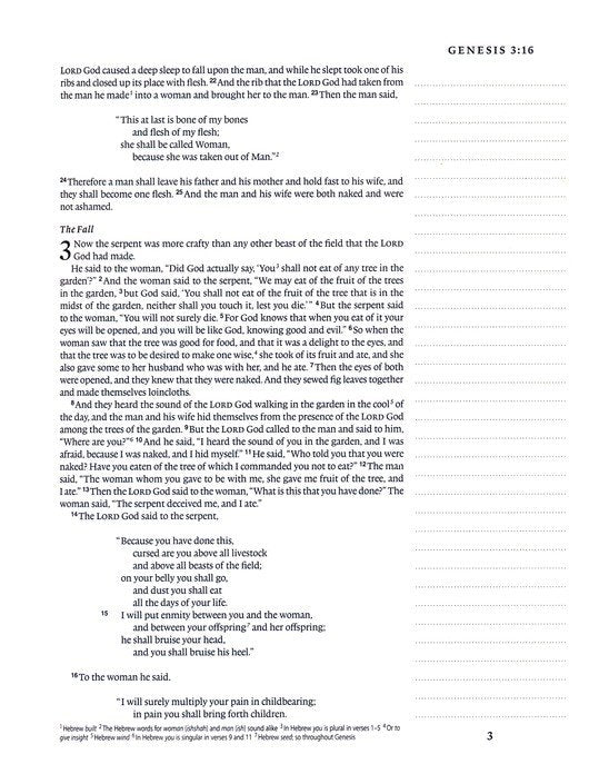 ESV Single Column Journaling Bible, Artist Series de Hugo Pineda, tapa dura - Quierox - Tienda Online