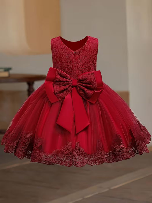 Vestido de niña, Vestido de princesa de malla con bordado de encaje