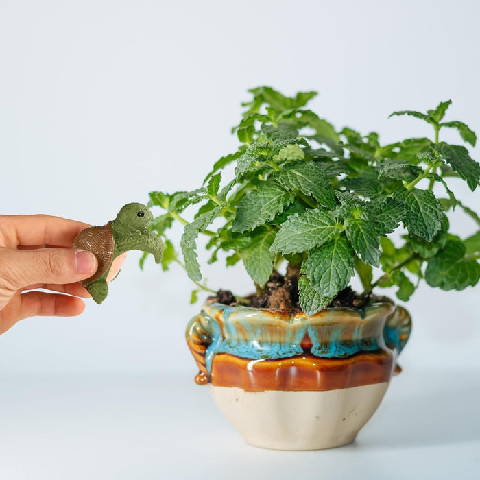 Figura de tortuga para colgar en macetas - Quierox - Tienda Online