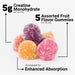 Force Factor Gomitas de monohidrato de creatina, certificadas por la NSF, dosis de 0.18 oz - Quierox - Tienda Online