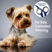 Four Paws Magic Coat Professional tijeras de aseo para perros y gatos - Quierox - Tienda Online