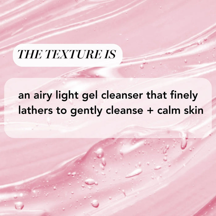 Gel Limpiador Antioxidante Baya de Açai + Avena 150ml - Quierox - Tienda Online