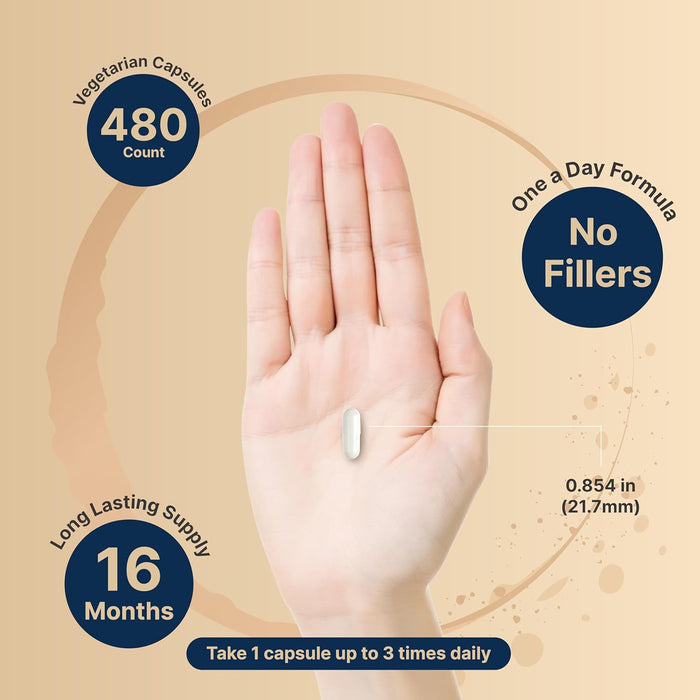 Glicinato de magnesio de 500 mg, 240 cápsulas, 100 % quelado para una máxima absorción - Quierox - Tienda Online