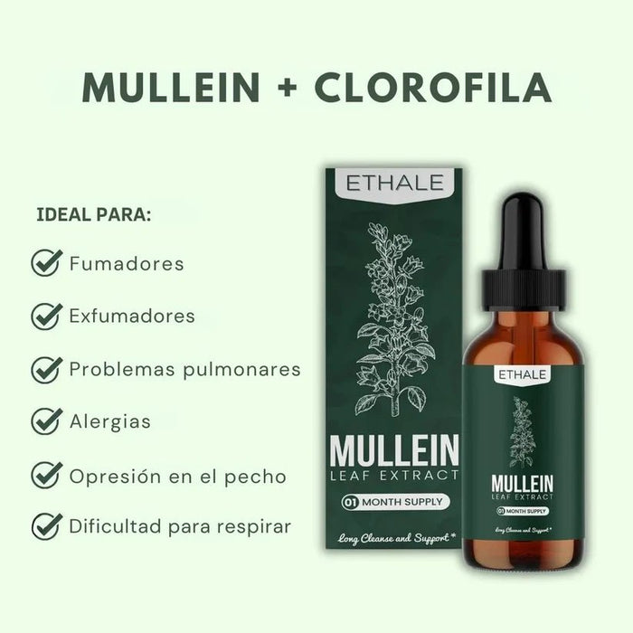 Gotas para los pulmones ETHALE®: revitalice sus pulmones - Quierox - Tienda Online