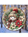 Gráficos de muñecos de nieve, Decoración para puertas y paredes - Quierox - Tienda Online