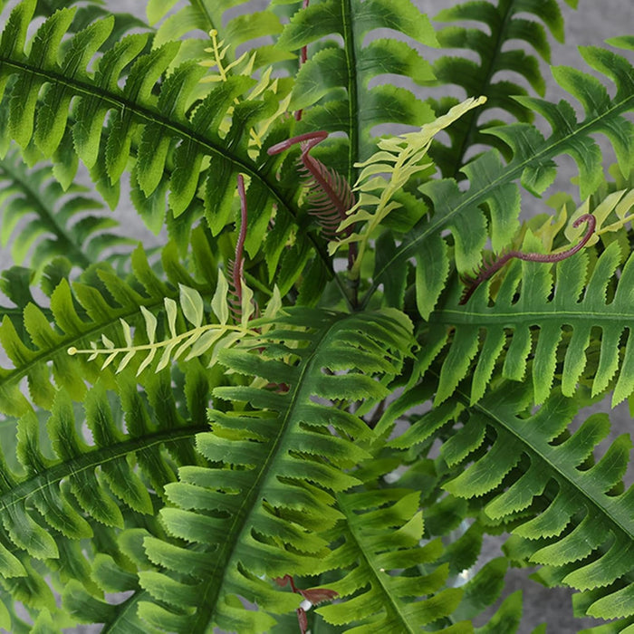 Helechos Artificiales al Aire Libre, Accesorios de Pared de Plantas Artificiales - Quierox - Tienda Online